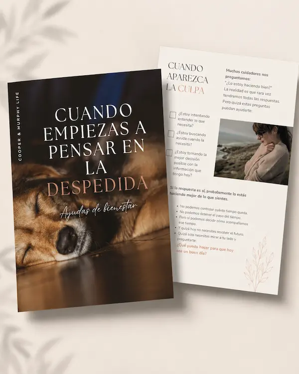 Ebook Despedida senior
